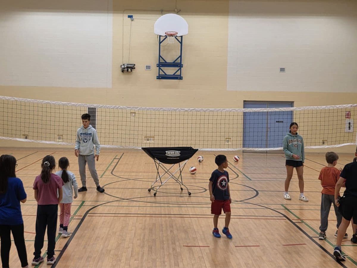 Skills Mechanics Program